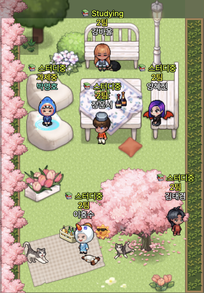 my-team